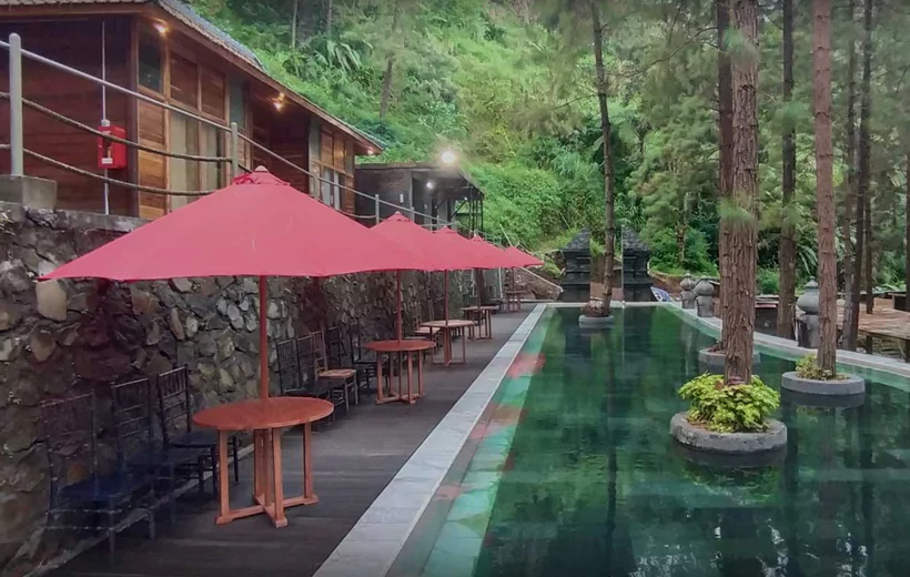 wisata-guci-forest-68674967b723d wisata-guci-forest-68674967b723d